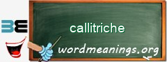 WordMeaning blackboard for callitriche